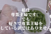 【悲報】まんさん「私は専業主婦ですが、好きでやっているわけではありません！！！」
