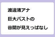 渡邊渚アナ 巨大バストの谷間が見えっぱなし！襟刳りの大きな服で巨乳チラ見せサービス