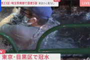 【動画】東京・目黒区で冠水　職員が潜水すると…