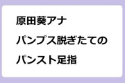 原田葵アナ　パンプス脱ぎたてのパンスト足指