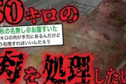 【2ch最恐スレ】「50kgの肉を処理したい」 ネットを震撼させた恐怖体験がツッコミどころ満載だったwwwwww#9【都市伝説】【なろ屋】【ツッコミ】