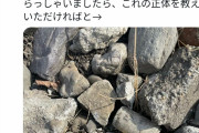 【画像】まんさん、本気でヤバそうな不審物を発見してガチ焦り！