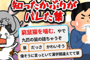 【2ch爆笑スレ】知ったかぶってイキってたら火の玉ストレートで論破された集
