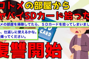 【2chスカッとスレ】私、負け組同居奴隷嫁なんですけど、ある日コトメの部屋の掃除をしてたらSDカードを拾いました。中身を見てみれば…これは仕返しに使えそう。中身を【ゆっくり解説】