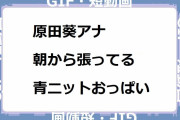 原田葵アナ｜朝から張ってる青ニットおっぱい！めざましテレビ