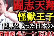 元格闘家の佐竹雅昭の信者だけど質問ある？