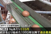 【悲報】“筋肉の優等生”たまごの卸売価格が過去最多更新。鶏大量殺戮の為