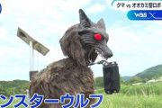 【悲報】北海道さん「熊の出没増えてるのにハンターが協力してくれんなあ……せや！」