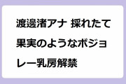 渡邊渚アナ 採れたて果実のようなボジョレー乳房解禁！朝からニットおっぱい突き出し運動