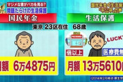 【悲報】国民年金、終わってた
