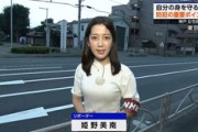 【画像】姫野美南アナ、巨乳の形がくっきりでエロ過ぎる