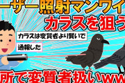 【2ch面白いスレ】わいレーザーポインターでカラスを狙うのが趣味マン、近所で変質者扱いされるwww【ゆっくり】