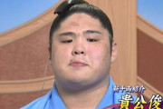 貴ノ富士(元貴公俊)がまた付け人に暴力！被害者は貴正樹か！貴乃花を引退に追い込んだ双子力士の兄が2年連続暴力事件！解雇処分＆引退求める声！