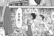 【画像】このエロ漫画で抜けるやつはホモｗｗｗ
