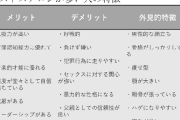 有識者「マホトみたいなＤＶ男がモテるのは優秀な遺伝子を求める女の本能」
