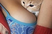 【悲報】猫カス、女の乳を揉みまくるwwwww
