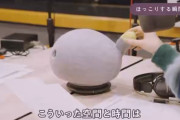 【動画】ヒコロヒー(36)の無修正手コキwwwwwww