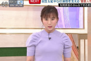 【画像】テレ朝の山本雪乃アナのおっぱいエッチエチｗｗｗｗ(動画あり)