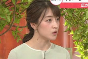【画像】NHK赤木野々花アナ、おっぱいでっけえぞ