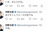 【悲報】河野太郎さん、何かがおかしい【謎】
