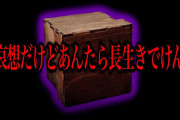 【特級呪物】開けたら寿命が半分になる箱…「リョウメンスクナと書かれた箱を開けた 前編」ネットを震撼させた恐怖体験#64【ツッコミ】【なろ屋】【2ch最恐スレ】【衝撃】