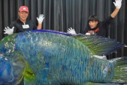 【画像】宮古島でとんでもない魚が水揚げされる