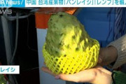 台湾産の果物2種を中国が輸入停止　台湾が猛反発(2021年9月20日)