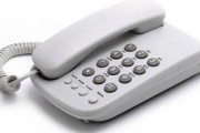 「固定電話恐怖症」が20代に広がる　退職に追い込まれるケースも