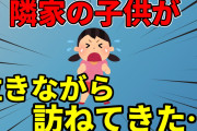 【2ch面白いスレ】お昼の支度してたらインターホンが鳴ったのでモニター見てみたら隣の子が泣きながら立ってた【2ch名作スレ】【ゆっくり】