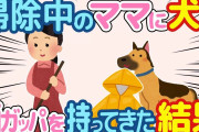 【2ch ほのぼの】犬が掃除しているママに雨ガッパを持ってきた結果w