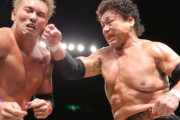 【朗報】「最も美しいプロレス技」、ついに決まるｗｗｗｗｗｗｗｗ