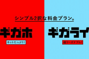 国「携帯料金安くしろ！」ドコモ「ギガホ！」ワイ「前の方が安いやん…」