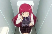 女さん「なんでコンビニ内トイレは男女別じゃないの！？ありえないんだけど！」→結果ｗｗｗｗｗｗｗ