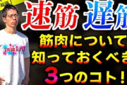 実用的な筋肉つけるなら速筋肉より遅筋肉鍛えた方が良さそう