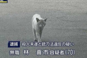 【悲報】ネッコ、逮捕される