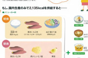 【画像】農水省「食糧輸入を停止しても大丈夫です！国内生産だけでまともな食事を賄えます！」