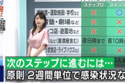 【画像】NHK赤木野々花アナの輝くEカップ横乳おっぱいwwニュース7のサテン生地衣装に2ch大興奮！