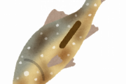 【緊急】実際一番うまい魚☜鮎じゃね？？？？？？？？