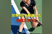 テニス世界ランク94位「筋トレするくらいならテニス辞める」←真面目に練習してる人達がバカみたいじゃん…