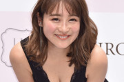 【画像あり】最近の鈴木奈々さん、おっぱいシコいｗｗｗｗｗ