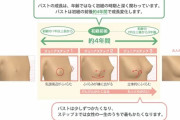【画像】JSの平らな胸が"乳房"になっていく過程♪♫♪♫