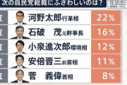 【速報】小泉進次郎さん、次期首相候補になってしまう