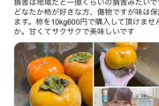 【画像】キズ物の柿、農家の娘がツイッターで呼び掛けたら一瞬で完売してしまう