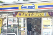 わざわざミニストップに行くやつの正体ｗｗｗｗ