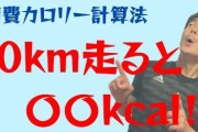 馬鹿「ランニング5km走っても2000kcalしか減らないからダイエットに意味ない」←これ