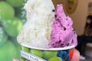 【画像】「マサノリ園」のジェラートｗｗｗｗｗｗｗｗｗｗｗｗ