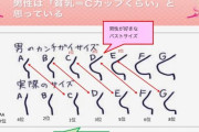 【画像】女性「男性は貧乳=Cカップぐらいと思っている」