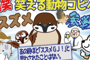 【2ch面白いスレ】バカにしてるスズメととぼけてる猫の図、おもろいわ～。 動物編#26 笑えるショートコピペ#44 【2chまとめ#89】
