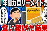 【2ch面白いスレ】カロリーメイトだけ食べて生活してみた結果 [ ゆっくり解説 ]