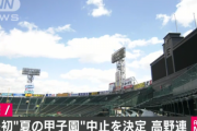 夏の甲子園2020が中止！理由はコロナ感染リスク配慮！高野連の発表、経緯、2chの感想まとめ！
